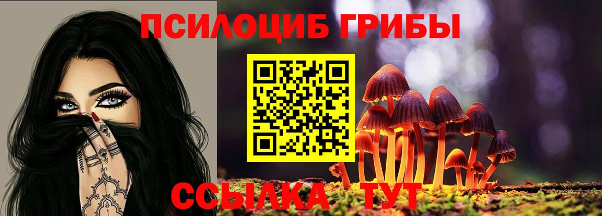 Галлюциногенные грибы ЛСД  где продают   Благовещенск  Псилоцибиновые грибы Cubensis  Вход с VPN 